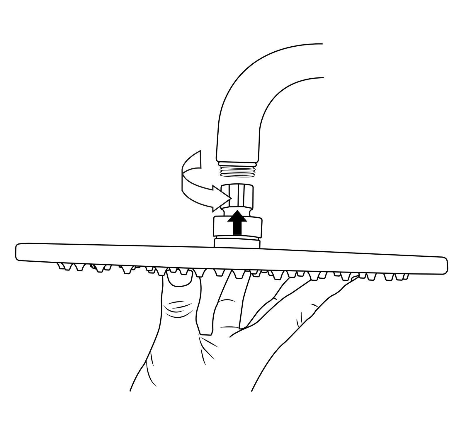 Shower Head